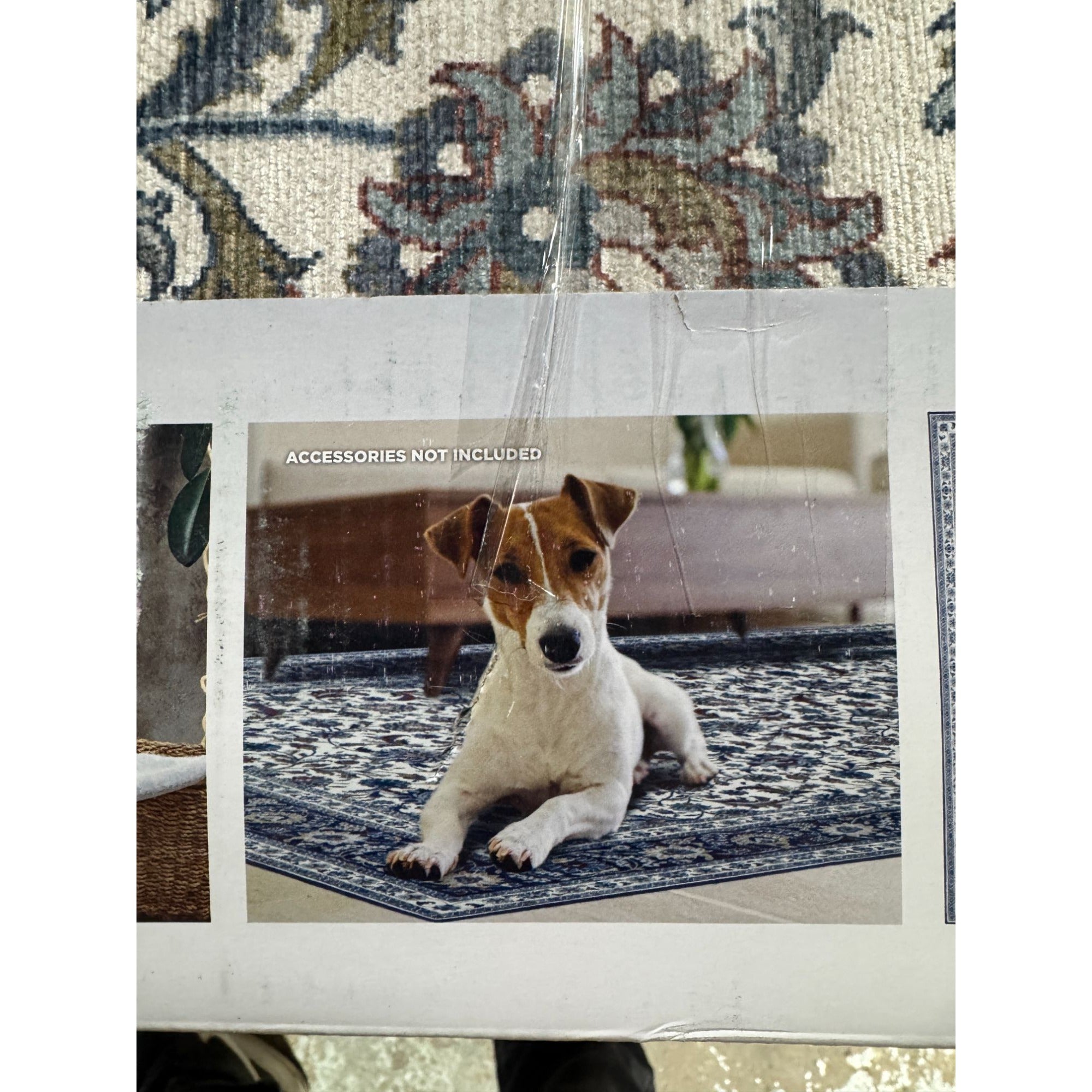 Machine Washable Wyatt & Ash Area Rug 5ft 3in X 7ft 5in Wrinkle-Resistant Built-In Pad Floral Design